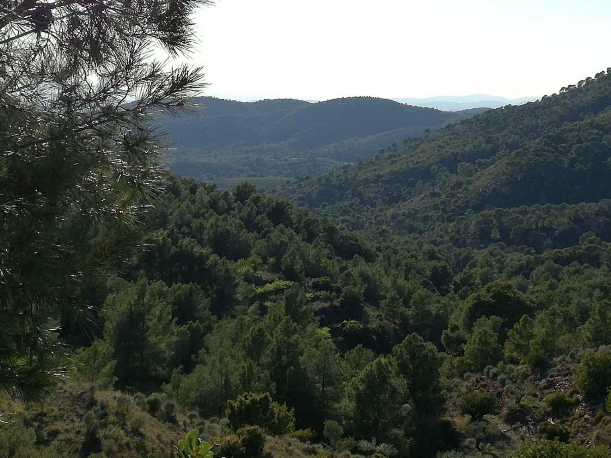 Ca'Ls Avis ξενώνας Serra Εξωτερικό φωτογραφία